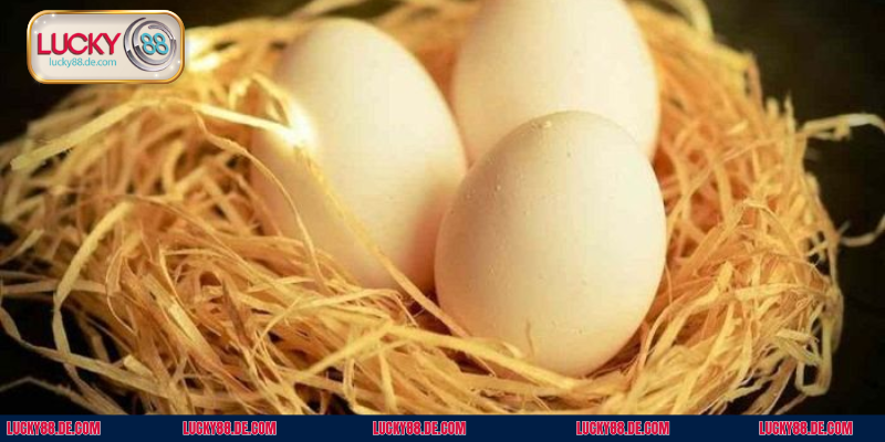 Giấc mơ thấy trứng có liên quan đến nhiều yếu tố tâm linh