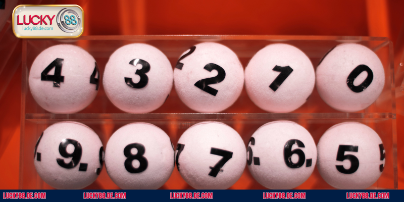 Xổ số miền Bắc thu hút đông đảo người hâm mộ quan tâm